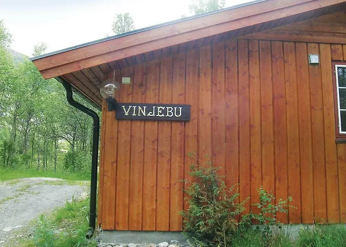 Vinjebu *